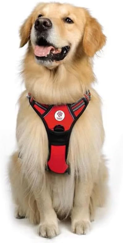 Arnes Y Correa Perro Grande - Arnes De Lujo Talla M para Mascotas Adultos - Tela Oxford Resistente, Acolchado Suave, Correas Elásticas para Mayor Comodidad Y Circulación