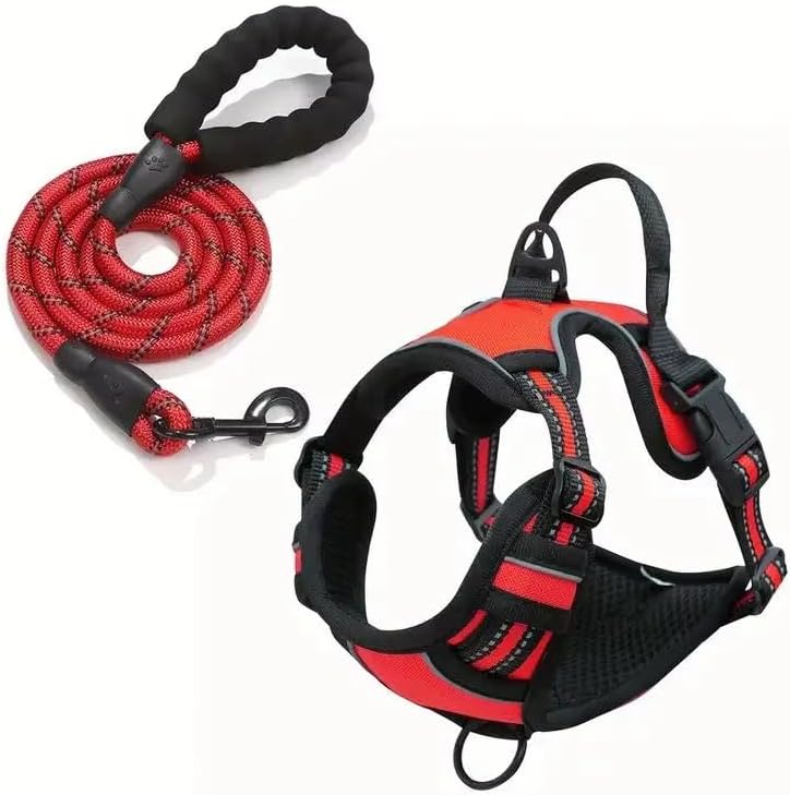 Arnes Y Correa Perro Grande - Arnes De Lujo Talla M para Mascotas Adultos - Tela Oxford Resistente, Acolchado Suave, Correas Elásticas para Mayor Comodidad Y Circulación