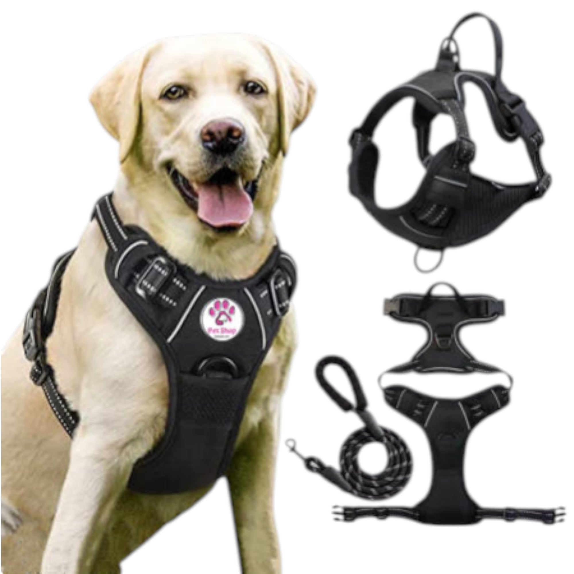 Arnes Y Correa Perro Grande - Arnes De Lujo Talla L para Mascotas Adultos - Tela Oxford Resistente, Acolchado Suave, Correas Elásticas para Mayor Comodidad Y Circulación
